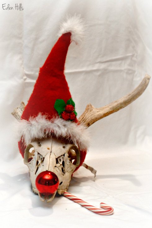 Santa Deer Skull